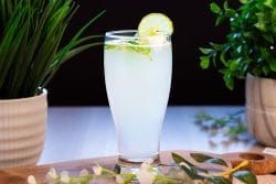 Fresh Lime Soda Salt